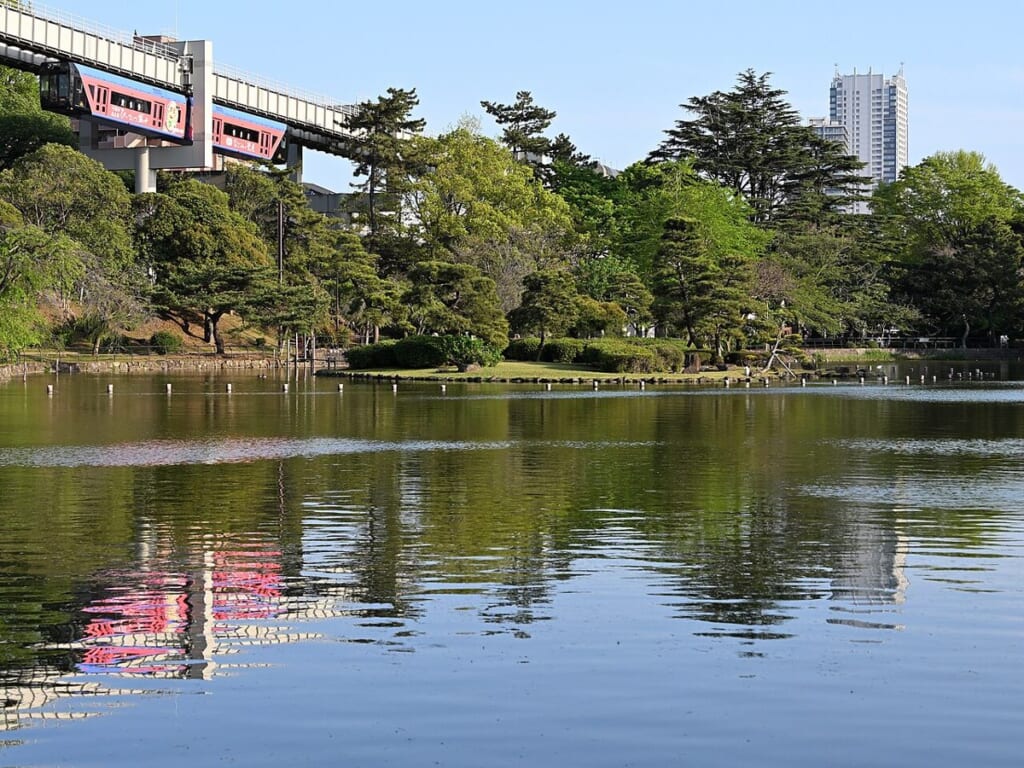 千葉公園の池の向こうを走る千葉都市モノレールの車両と、池を囲む松などの木々