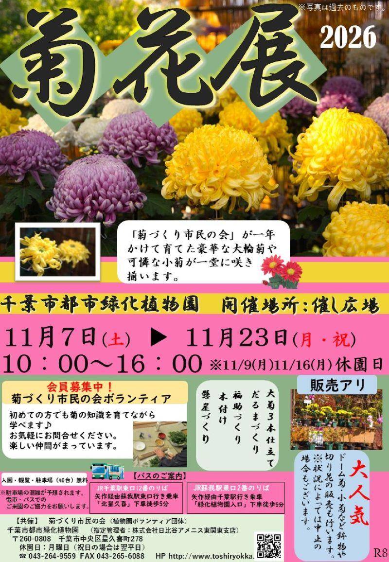 千葉市都市緑化植物園「菊花展2026」のチラシ。黄色と紫の大輪の菊の写真に「菊花展 2026」の文字、開催場所 催し広場、11月7日(土)〜11月23日(月・祝) 10:00〜16:00、11/9(月)11/16(月)休園日、大菊3本仕立て・だるまづくり・福助づくり・木付け・懸崖づくりの文字、販売アリ、バスの案内
