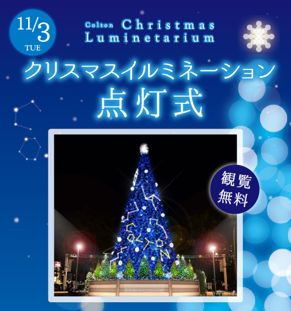 11月3日・観覧無料の表示と、星座を描いた青いツリーのイメージがある点灯式の公式告知