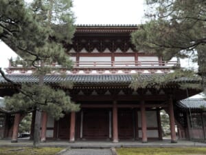 松の木の間に建つ朱色の柱と二重の屋根をもつ大徳寺の三門を正面から見た写真