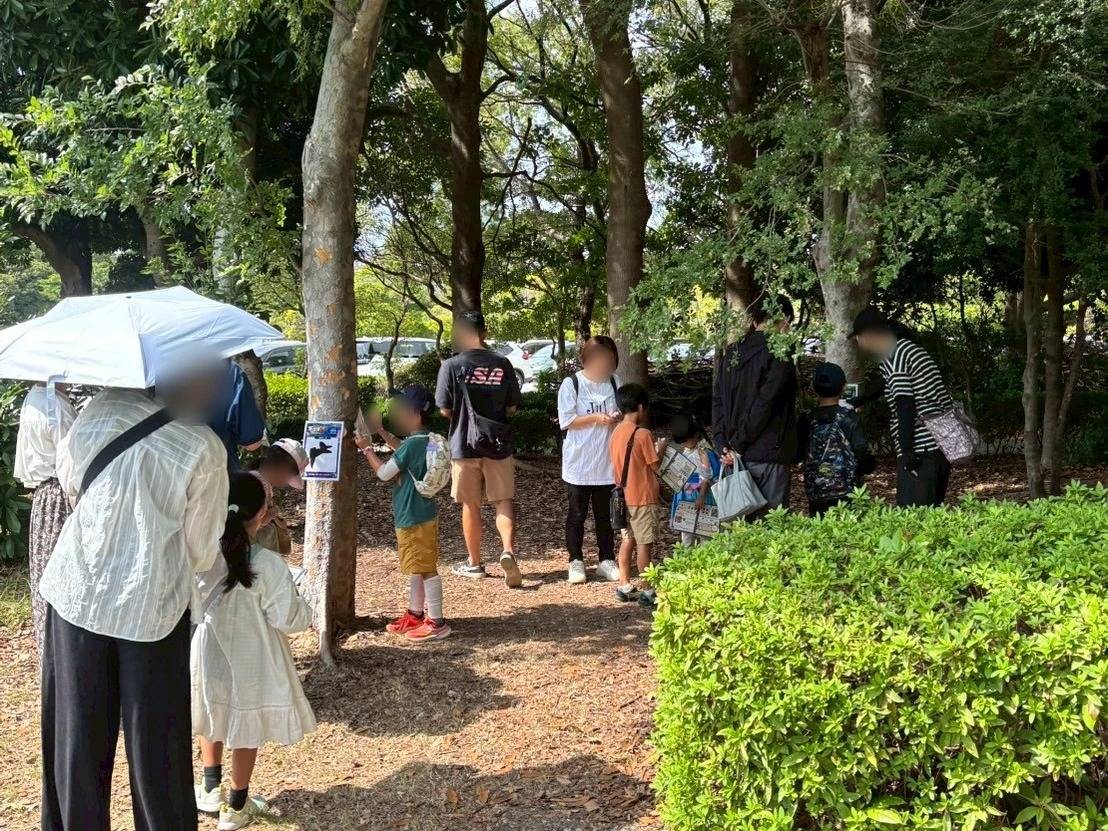 園路沿いの木の幹に問題の紙が貼られ、子どもと保護者がそのまわりに集まっている