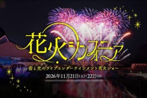 夜の八景島で上がるピンクと白の花火に「花火シンフォニア」「2026年11月21日(土)・22日(日)」の文字