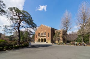 赤れんがのロマネスク風の建物、一橋大学の兼松講堂。手前に大きなマツと広場がある
