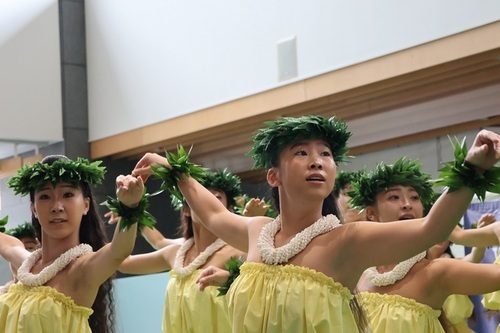 頭に緑のレイを着け、黄色の衣装でフラを踊る女性たち