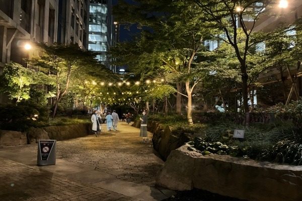 木々の間に電球のラインが渡された夜の遊歩道