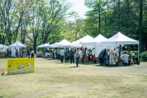 公園の芝生に白いテントのブースが並び、来場者が作品を見て回る様子