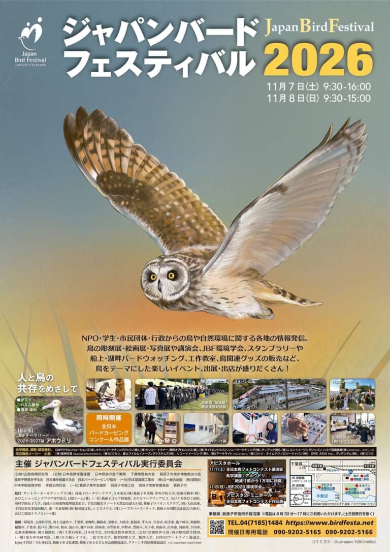 ジャパンバードフェスティバル2026のポスター。夕景の中を飛ぶコミミズクのイラストと、11月7日9時30分〜16時・8日9時30分〜15時の開催時間