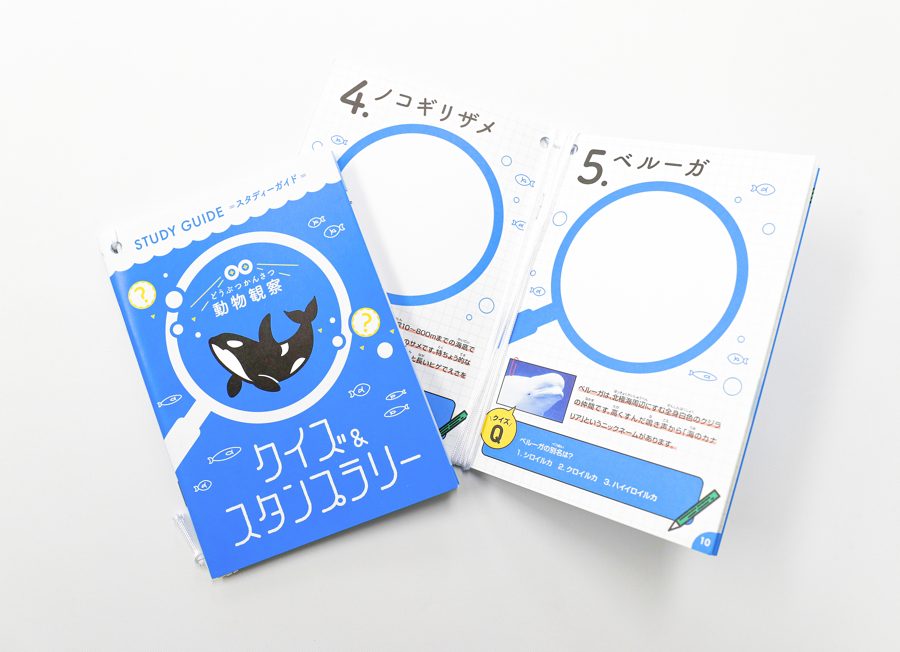 青い表紙に「クイズ&スタンプラリー」と書かれたノートと、ノコギリザメとベルーガのページを開いたノート