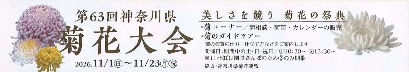 「第63回神奈川県菊花大会 2026.11/1(日)〜11/23(月・祝)」の文字と、菊コーナー(菊相談・菊苗・カレンダーの販売)、菊のガイドツアー(期間中の土・日・祝日 ①10:30〜 ②13:30〜、11/8は②のみ)の案内