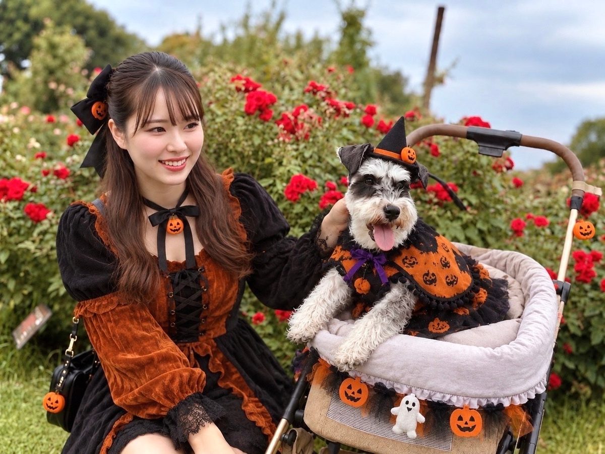 京成バラ園の愛犬コスプレDAYのイメージ。ペットカートに乗った犬とハロウィン衣装の来園者