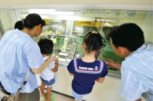 見学通路のガラス窓から、親子連れが工場の中をのぞき込んでいる