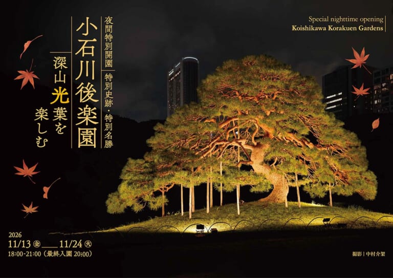 夜の闇の中で照らし出された大きなマツと、「小石川後楽園 深山光葉を楽しむ 2026 11/13金-11/24火 18:00-21:00（最終入園20:00）」の文字