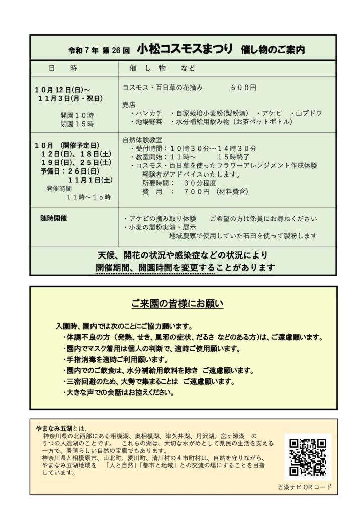 令和7年第26回小松コスモスまつりの催し物案内。花摘み600円、売店の品目、自然体験教室の日程と700円の費用、アケビの摘み取りと小麦の製粉実演