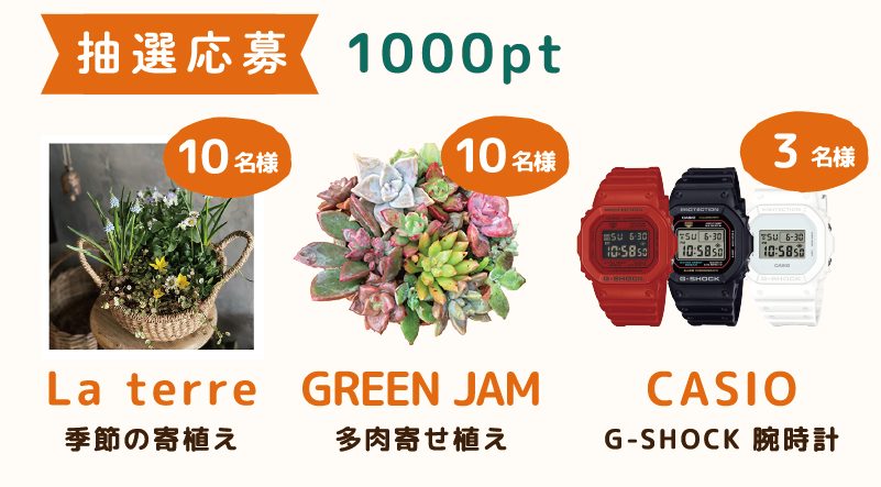 1000ポイントの抽選応募の景品として、季節の寄せ植え、多肉寄せ植え、G-SHOCK腕時計が並んだ画像