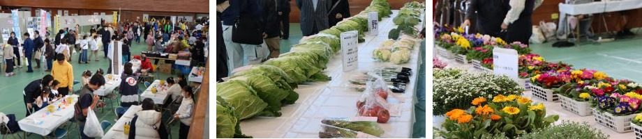 体育館のアリーナで出展ブースに並ぶ来場者、長机に並べられた白菜などの野菜、黄色や赤の花の鉢植えの展示の写真3枚