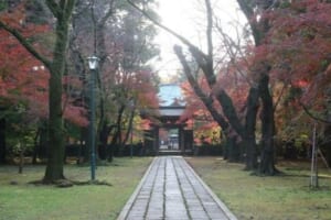 石畳の参道の両側で赤く色づいたモミジが枝を広げ、奥に山門が見える
