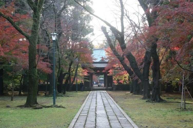 石畳の参道の両側で赤く色づいたモミジが枝を広げ、奥に山門が見える
