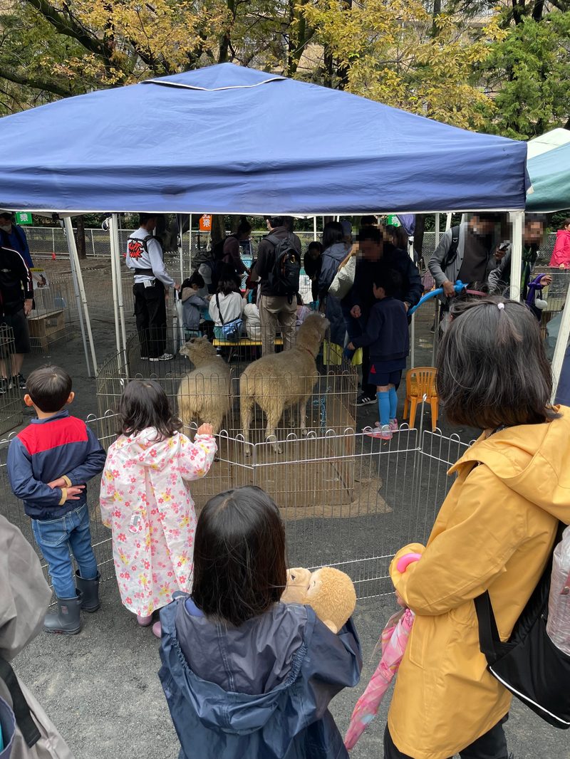 2023年の宮前区民祭のふれあい動物園。テントの下の柵の中にヒツジがいて、雨合羽を着た子どもたちがのぞき込んでいる