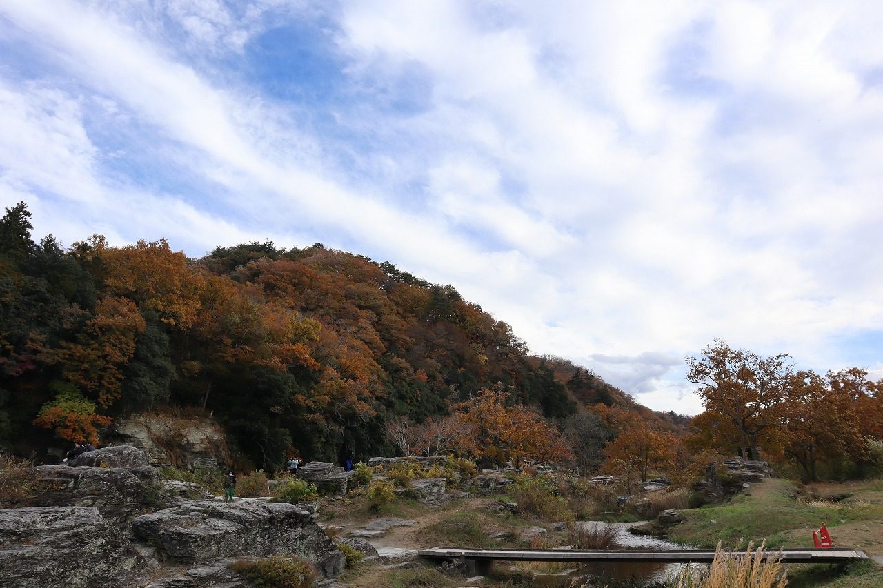 青空の下、色づいた木々に覆われた山と手前の岩場が写る2025年11月の長瀞の写真