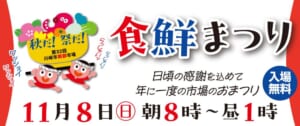 「秋だ！祭だ！第32回川崎市南部市場」のロゴと「食鮮まつり 11月8日（日）朝8時〜昼1時」「入場無料」の文字