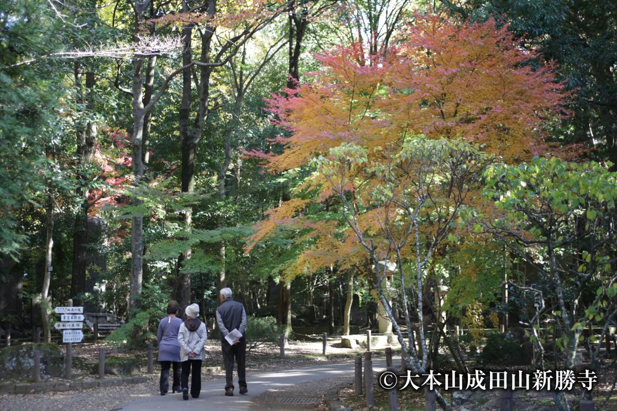 色づき始めたモミジの下の散策路を、年配の来園者が歩いている