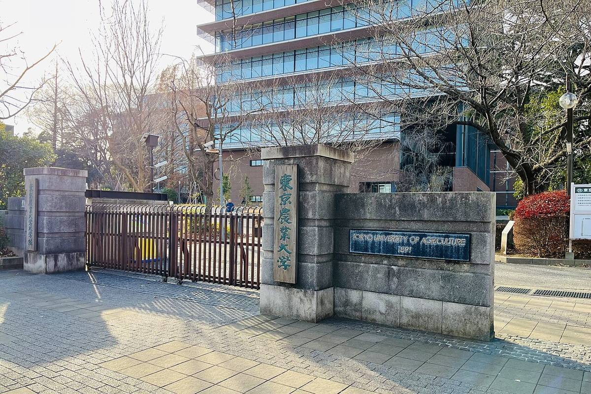 東京農業大学世田谷キャンパスの経堂門。石の門柱に「東京農業大学」の木の表札と英字の銘板がある