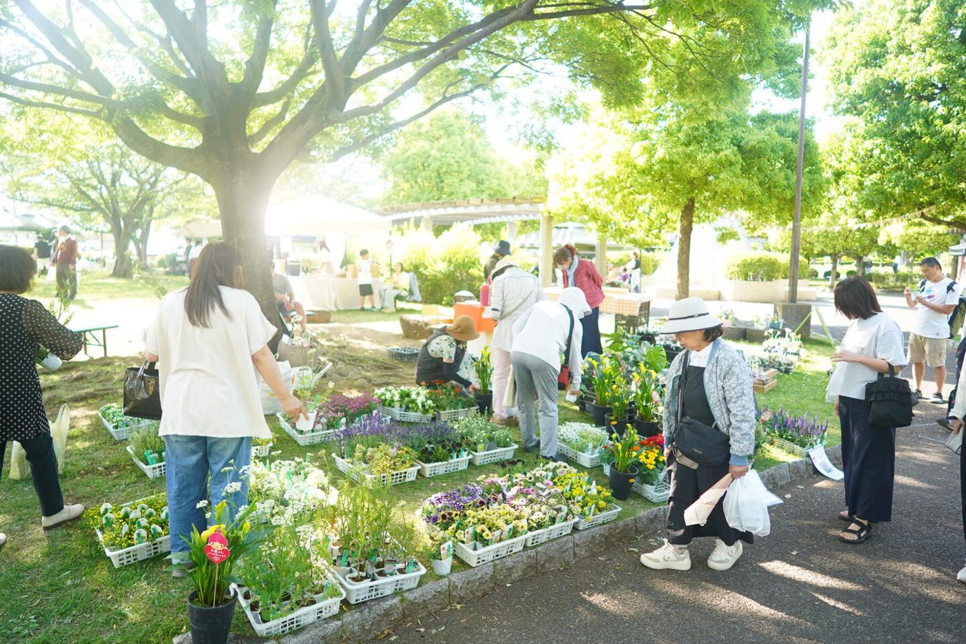 せせらぎ公園の芝生に花苗の鉢が並ぶブースと、買い物袋を持って見て回る来場者