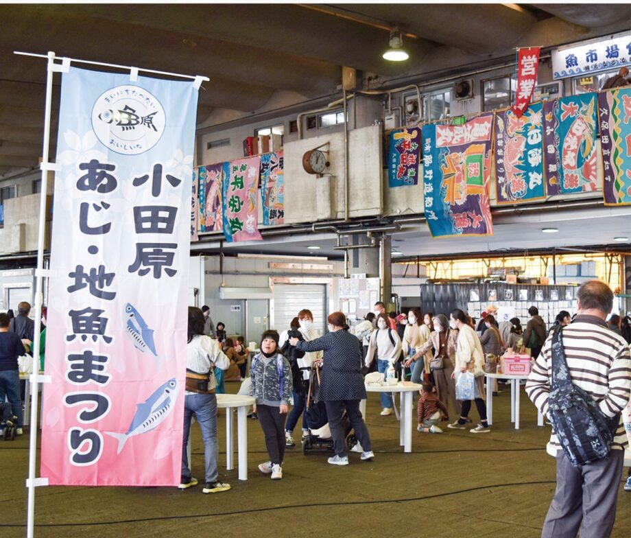 小田原漁港の水産市場に立つ「小田原あじ・地魚まつり」ののぼり（過去開催時）