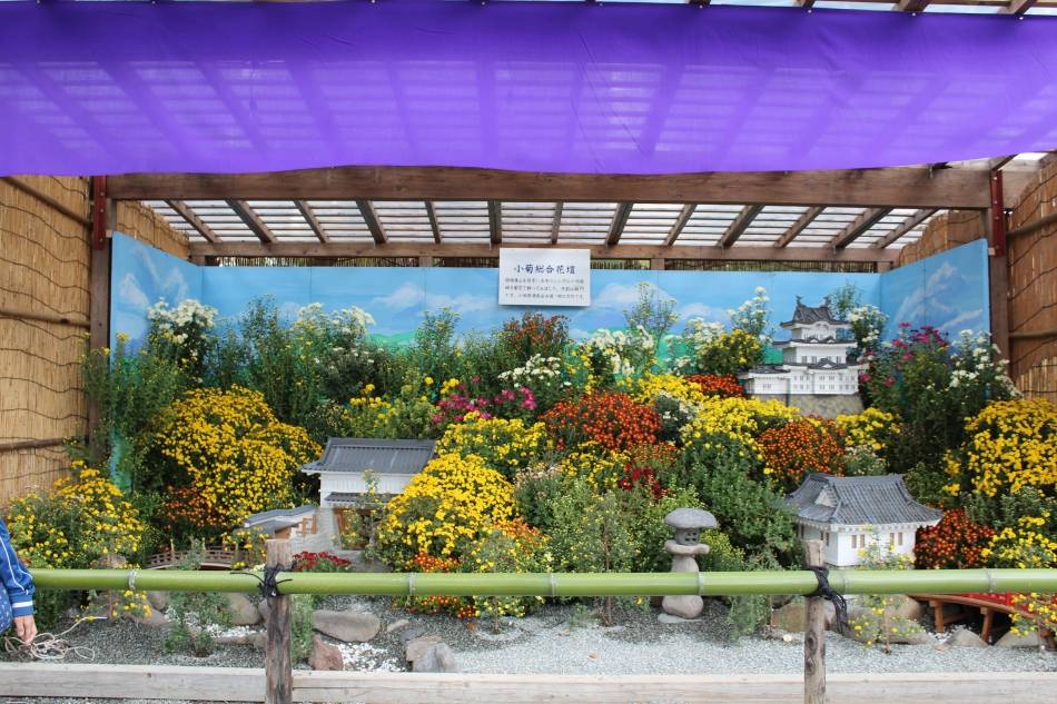 よしずの囲いの中に、色とりどりの小菊と小田原城のミニチュアを配した花壇