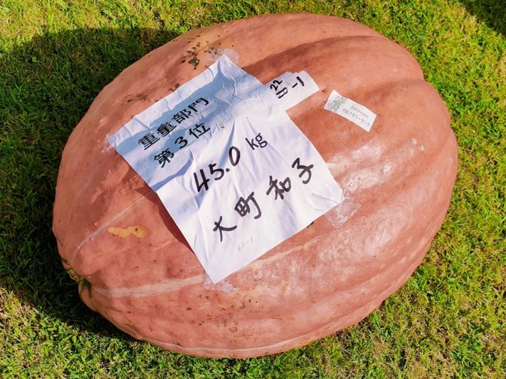 芝生に置かれた大きなかぼちゃ。「重量部門 第3位 45.0kg」と書かれた札が貼られている