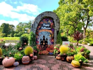 石造りのアーチに「Happy Halloween OFUNA FLOWER CENTER」の装飾、周りにジャック・オー・ランタンと鉢植えが並ぶフォトスポット
