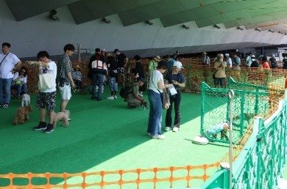 人工芝を仮設フェンスで囲んだドッグパークで犬と飼い主が過ごす、前年の大さん橋マルシェの様子