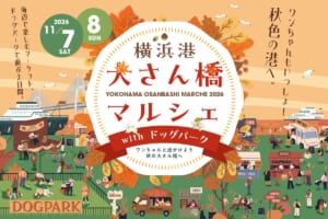 横浜港大さん橋マルシェ2026 with ドッグパークの告知ビジュアル。2026年11月7日・8日、秋色の港へ、ワンちゃんもいっしょ