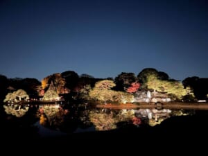 夜の六義園。池の向こうの中島の木々と紅葉が照明で照らされ、水面に映っている