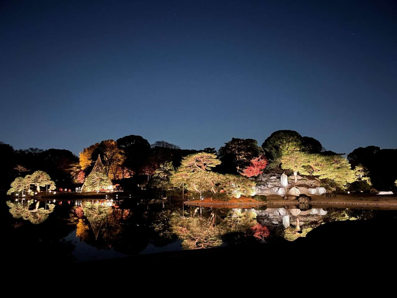 夜の六義園。池の向こうの中島の木々と紅葉が照明で照らされ、水面に映っている