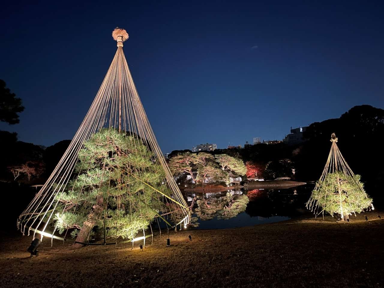 雪吊りがかけられたマツが照明で照らされ、奥の池に紅葉が映っている夜の六義園