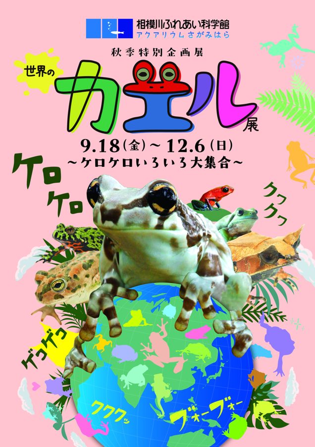 ピンクの地に「世界のカエル展」「9.18(金)〜12.6(日)」「ケロケロいろいろ大集合」の文字と、地球の上に乗る大きなカエルやヤドクガエルのイラスト・写真