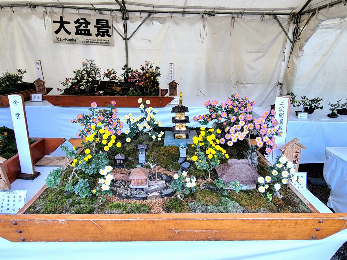 「大盆景」の札の下に、小菊と石、塔の模型で風景を作った盆景が展示されている