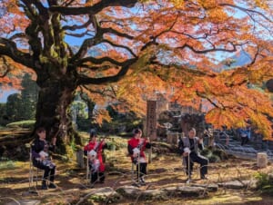 紅葉した大きなモミジの木の下で、三味線を演奏する4人