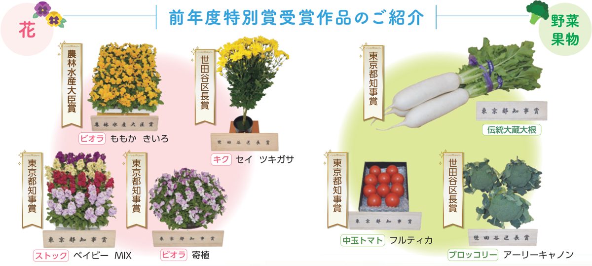 賞の札が付いたビオラ、菊、ストック、大蔵大根、中玉トマト、ブロッコリーの受賞作品