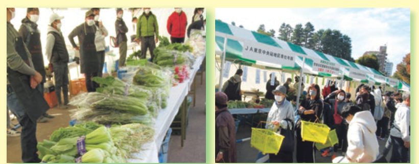 長机に並んだ葉物野菜と、黄色いかごを持った人がテントの前に並ぶ即売市の2枚の写真