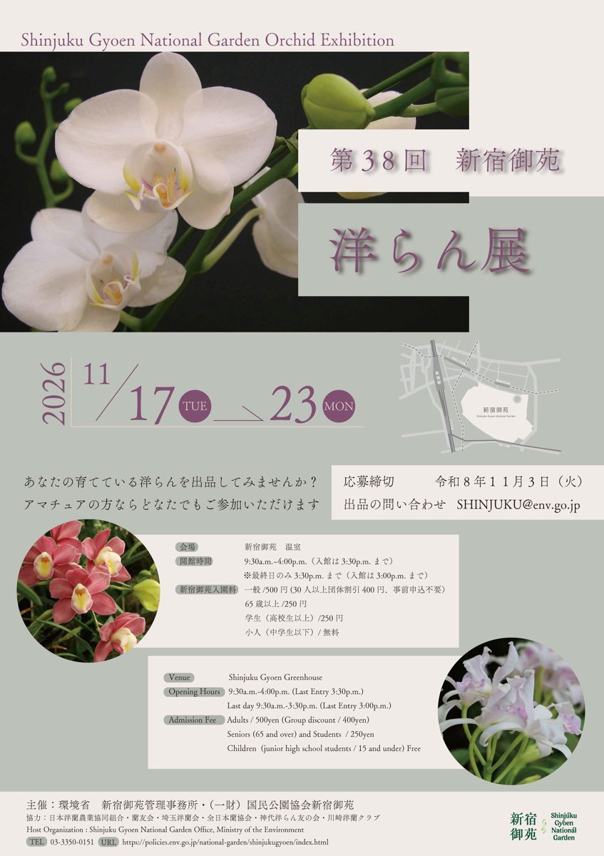 第38回新宿御苑洋らん展のポスター。白いコチョウランの写真と、2026年11月17日〜23日の会期、温室の開館時間と入園料