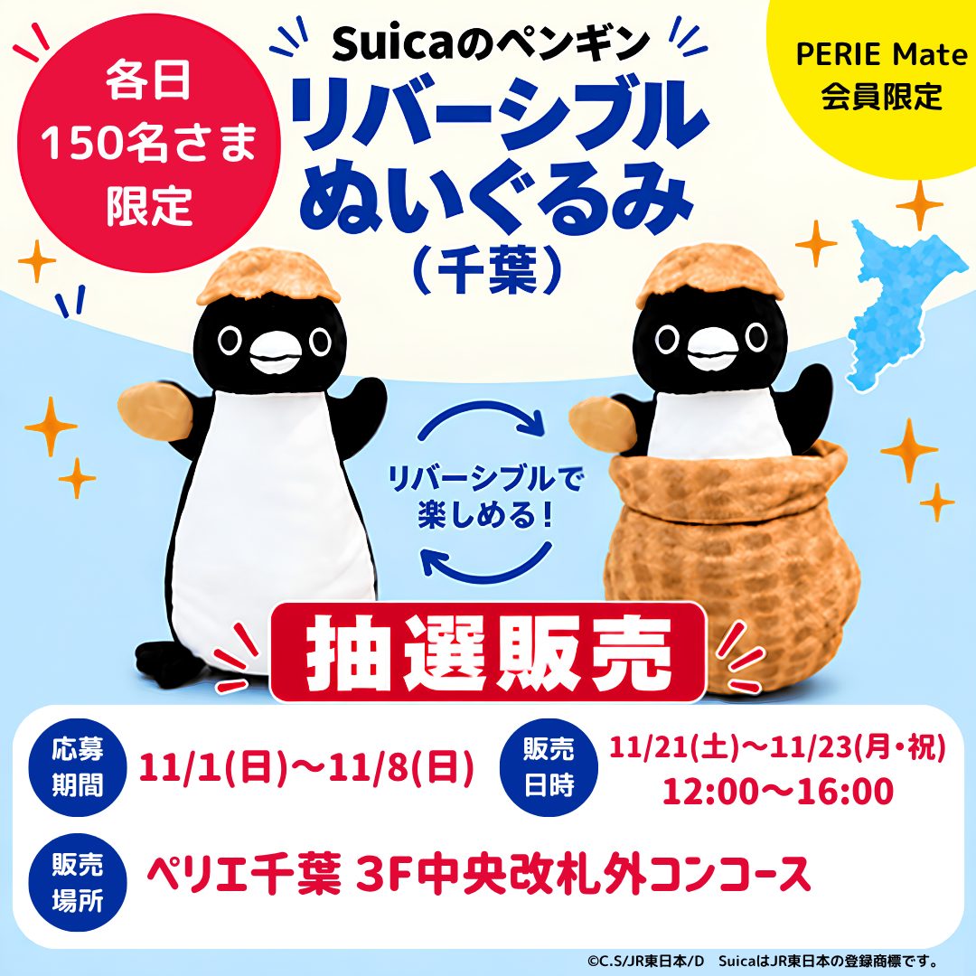 落花生の殻をかぶったSuicaのペンギンのぬいぐるみと、裏返して落花生の殻に入った姿が並び、「各日150名さま限定」「PERIE Mate会員限定」「応募期間11/1(日)〜11/8(日)」「販売日時11/21(土)〜11/23(月・祝)12:00〜16:00」「ペリエ千葉 3F中央改札外コンコース」と書かれた告知画像