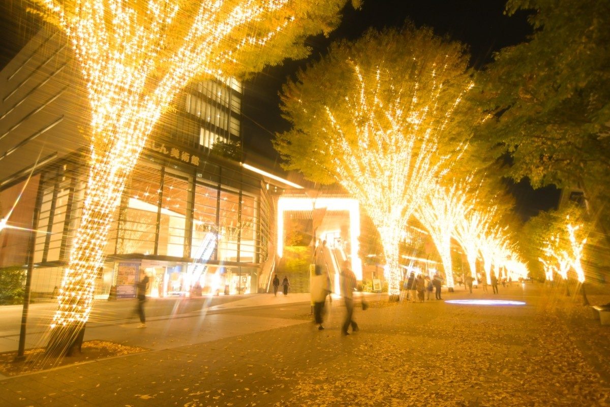 シャンパンゴールドの電球で幹から枝先まで飾られたケヤキ並木と、建物の前に立つ光のゲート