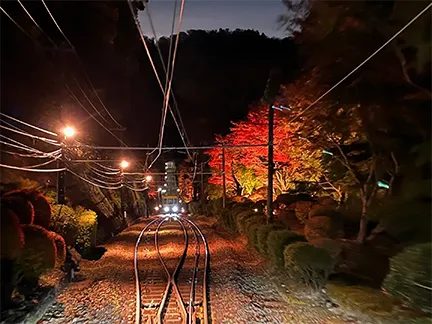夜にライトアップされたケーブルカー沿線の紅葉と線路