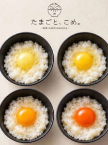 「たまごと、こめ。808-HACHIMARUYA」のロゴの下に、黄身の色が違う卵をのせたごはんの黒い器が4つ並ぶ