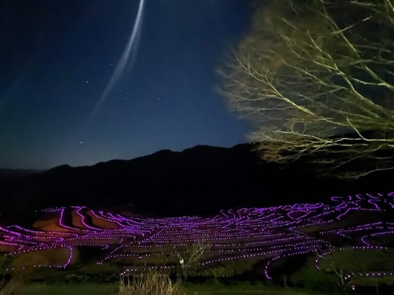 夜の山あいの棚田で、段ごとの縁に沿って紫色のLEDライトが光っている