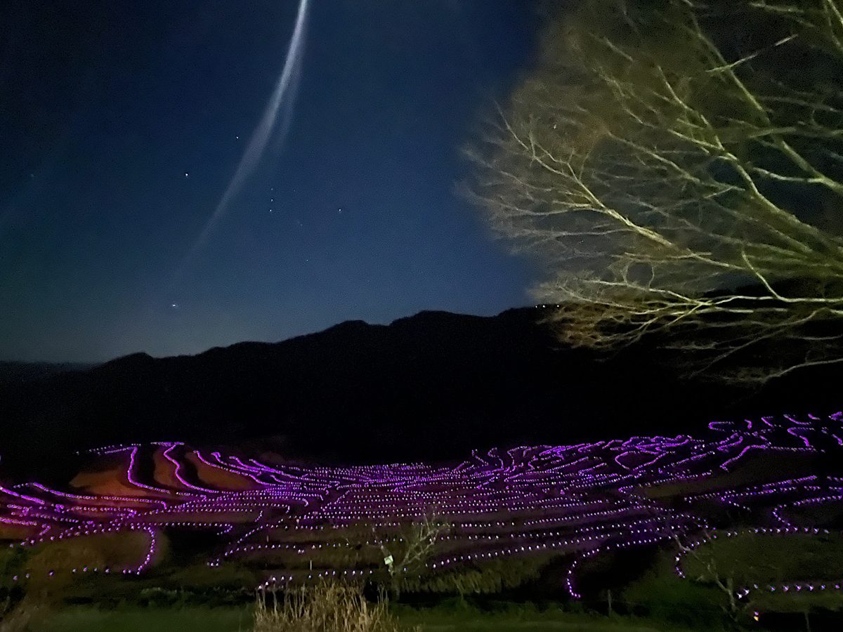 夜の山あいの棚田で、段ごとの縁に沿って紫色のLEDライトが光っている