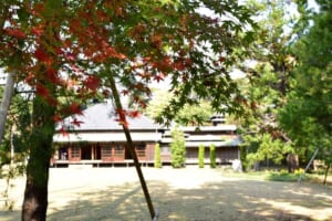 色づき始めたモミジの枝越しに見える戸定邸。瓦屋根の平屋の建物の前に芝生の庭が広がっている
