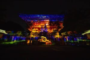夜の氷川神社の楼門全体に、青やオレンジの光の映像が投影され、手前の地面にも光が広がっている写真